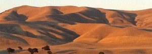 Paso Robles Medium Priced Homes - Mountain View Paso Robles Medium Priced Homes - Photo Mountain View