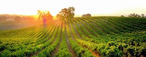 Atascadero Higher Priced Homes