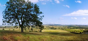 Atascadero Homes for Sale - Hillside