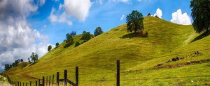 Atascadero Medium Priced Homes Atascadero Medium Priced Homes