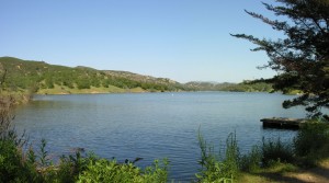 Santa Margarita Homes for Sale