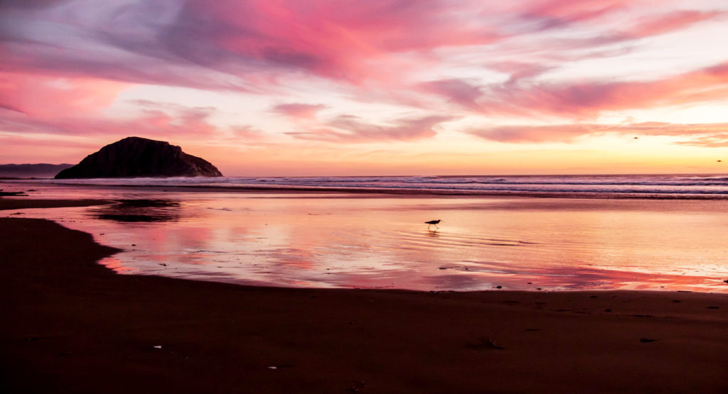 Morro Bay CA - Sunset on Sandy Beach