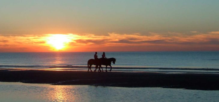 COASTAL BEACH HORSE RANCHES AND HOMES ON ACRES