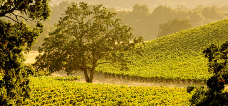 PASO ROBLES CALIFORNIA – CHARMING WESTERN TOWN